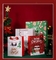 τσάντες εγγράφου χριστουγεννιάτικου δώρου 26*32*12cm